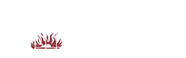 Boyd Place Logo